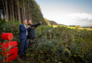 Regional verwurzelt: Insgesamt 2800 Bäume wurden mit der Unterstützung von myreforest.org und dem Forstrevier Biederbach-Prechtal im Sparkassenwald in Biederbach gepflanzt