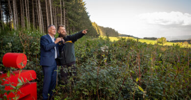 Regional verwurzelt: Insgesamt 2800 Bäume wurden mit der Unterstützung von myreforest.org und dem Forstrevier Biederbach-Prechtal im Sparkassenwald in Biederbach gepflanzt