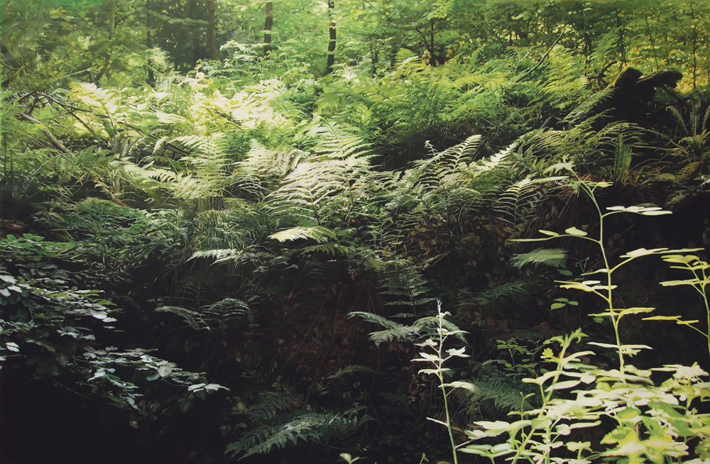 Die Realität auf der Leinwand einfangen: In der Kunsthalle Messmer sind Werke von Dieter Nuhr und  Stephan Kaluza ausgestellt