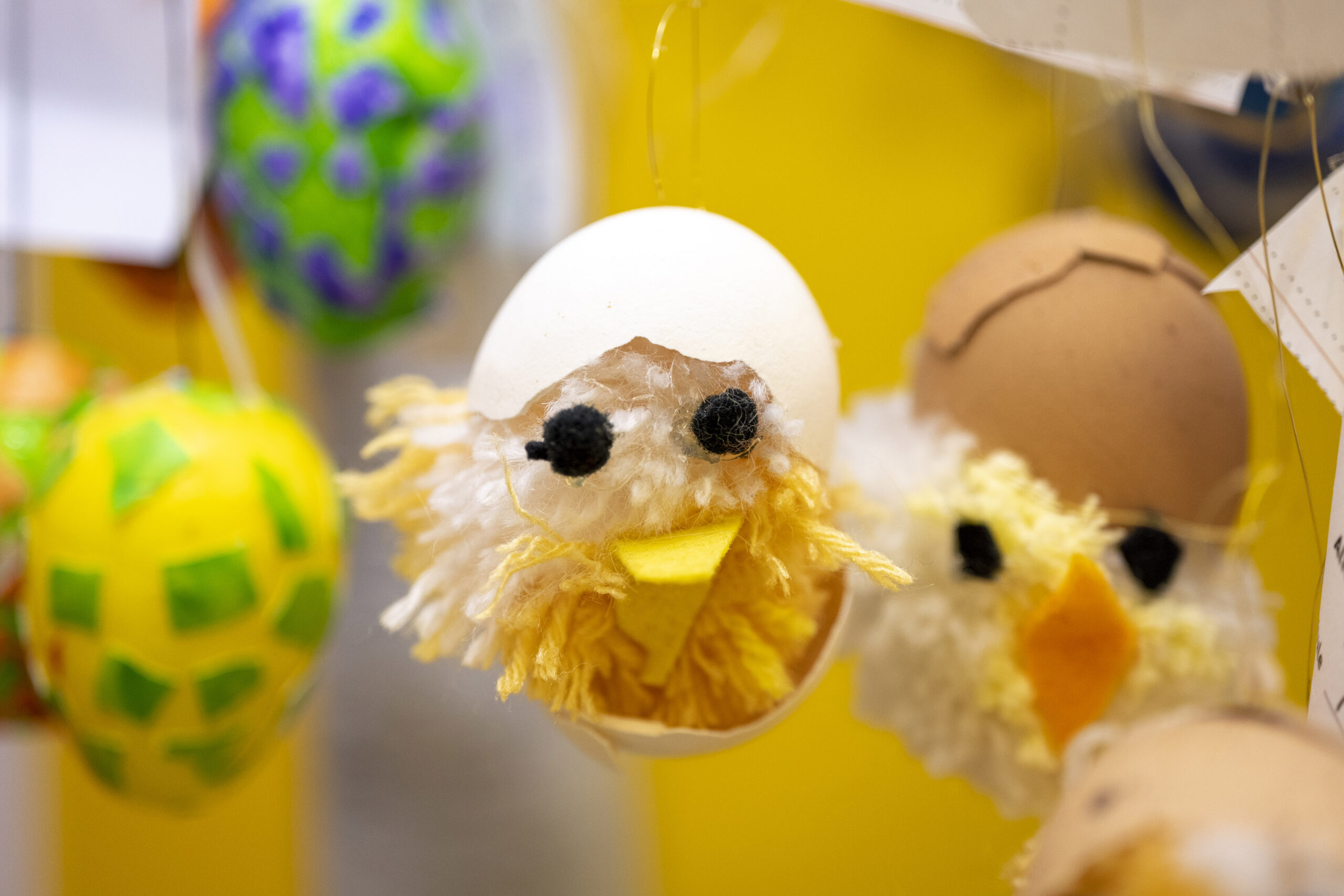 Mit Farbe, Filz und Federn: Neuauflage des Kreativwettbewerbs im Museum Natur und Mensch Freiburg