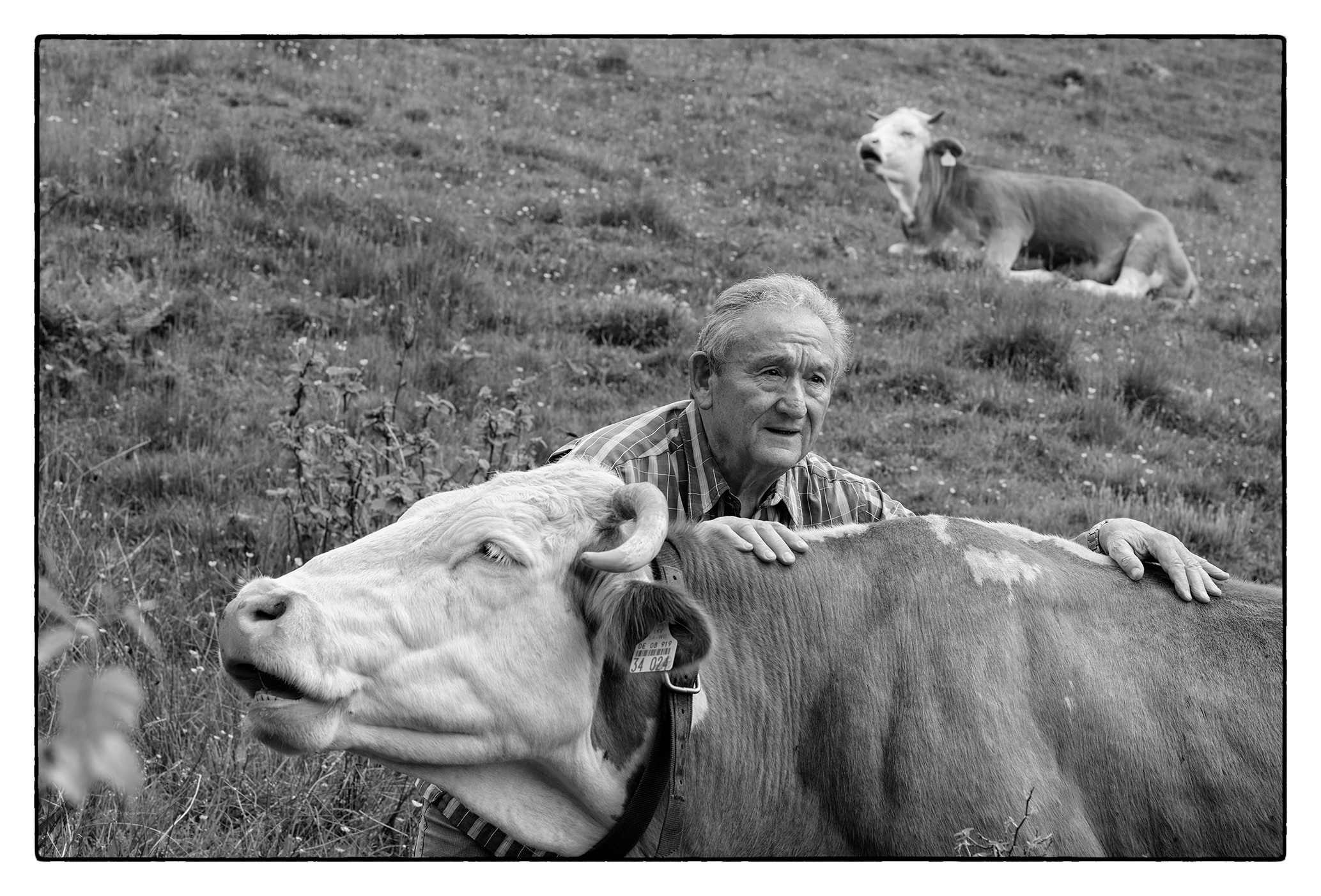 Aus dem Leben der Hirtenbuben: Eine Fotoausstellung im Haus der Natur