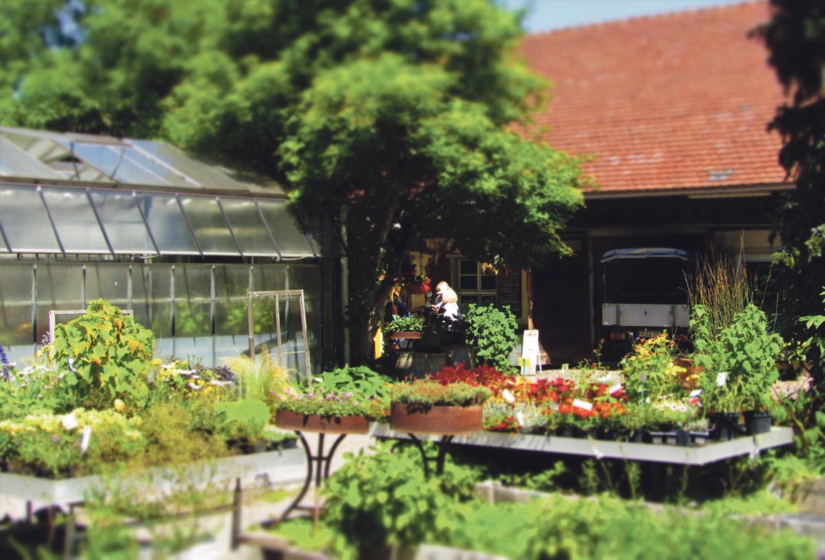 Ein Ende für den „grünen Schatz“?: Die Initiative „Grüner Schatz für Freiburg“ kämpft für das Gelände der ehemaligen Gärtnerei Hügin im Freiburger Norden