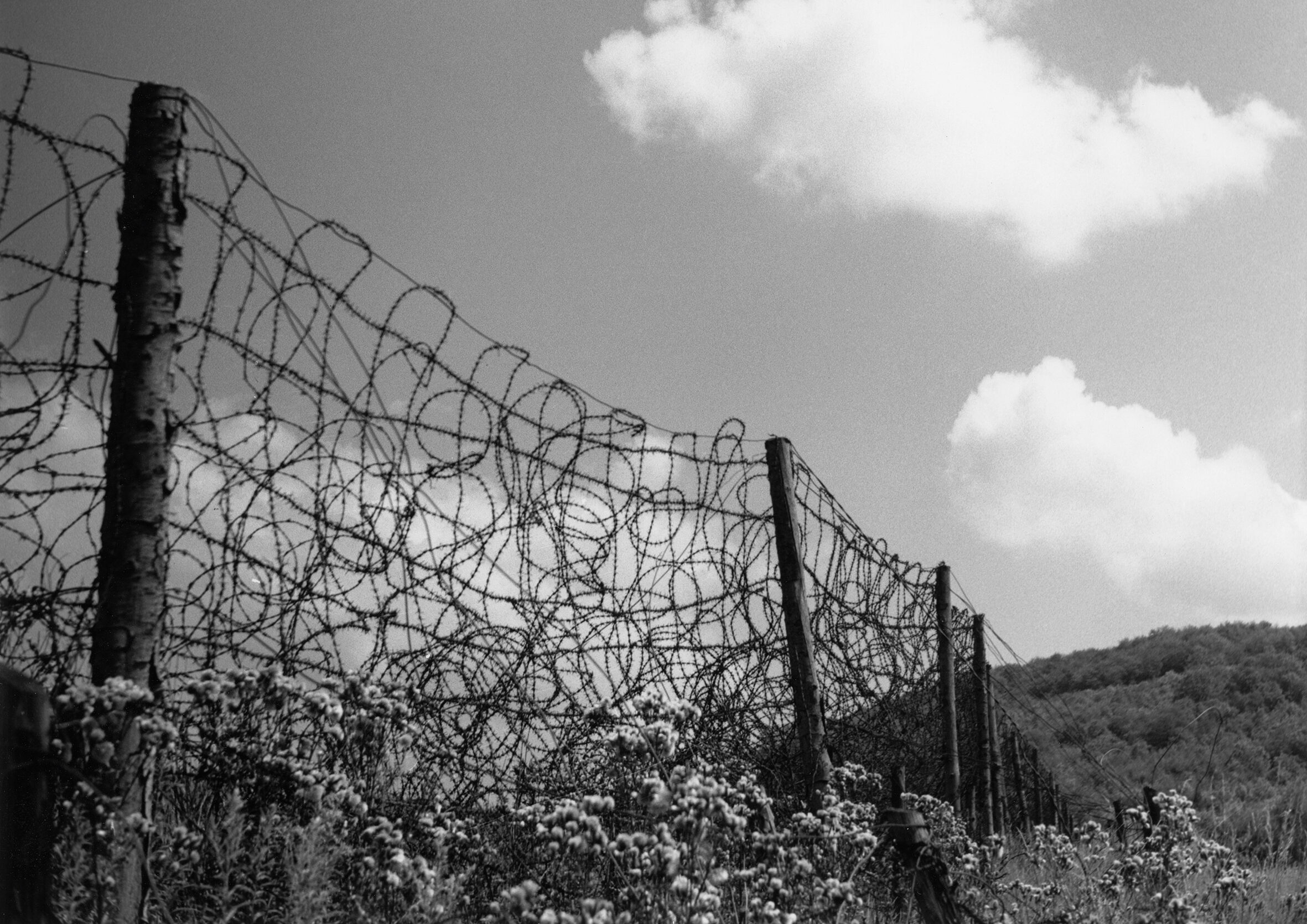 „Grenzfälle. Basel 1933-1945“ – Ausstellung im Historischen Museum Basel