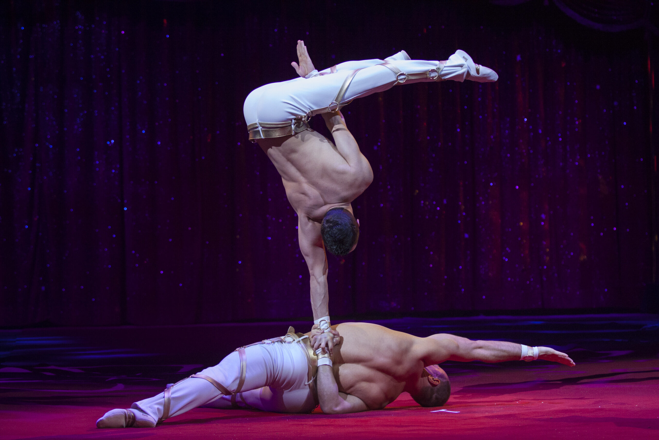 30 Jahre Varieté am Seepark in Freiburg