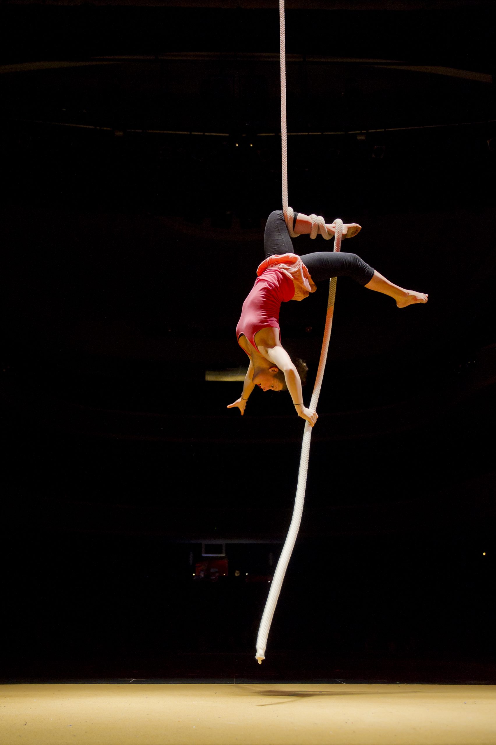 Münstersommer Freiburg 2011