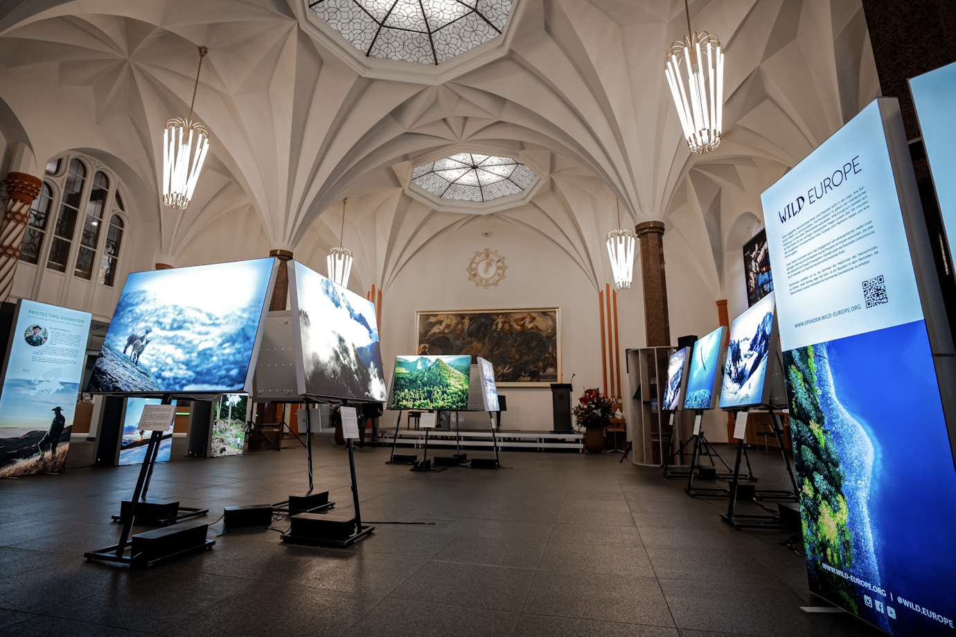 Wildes Europa: Ausstellung in der Meckelhalle