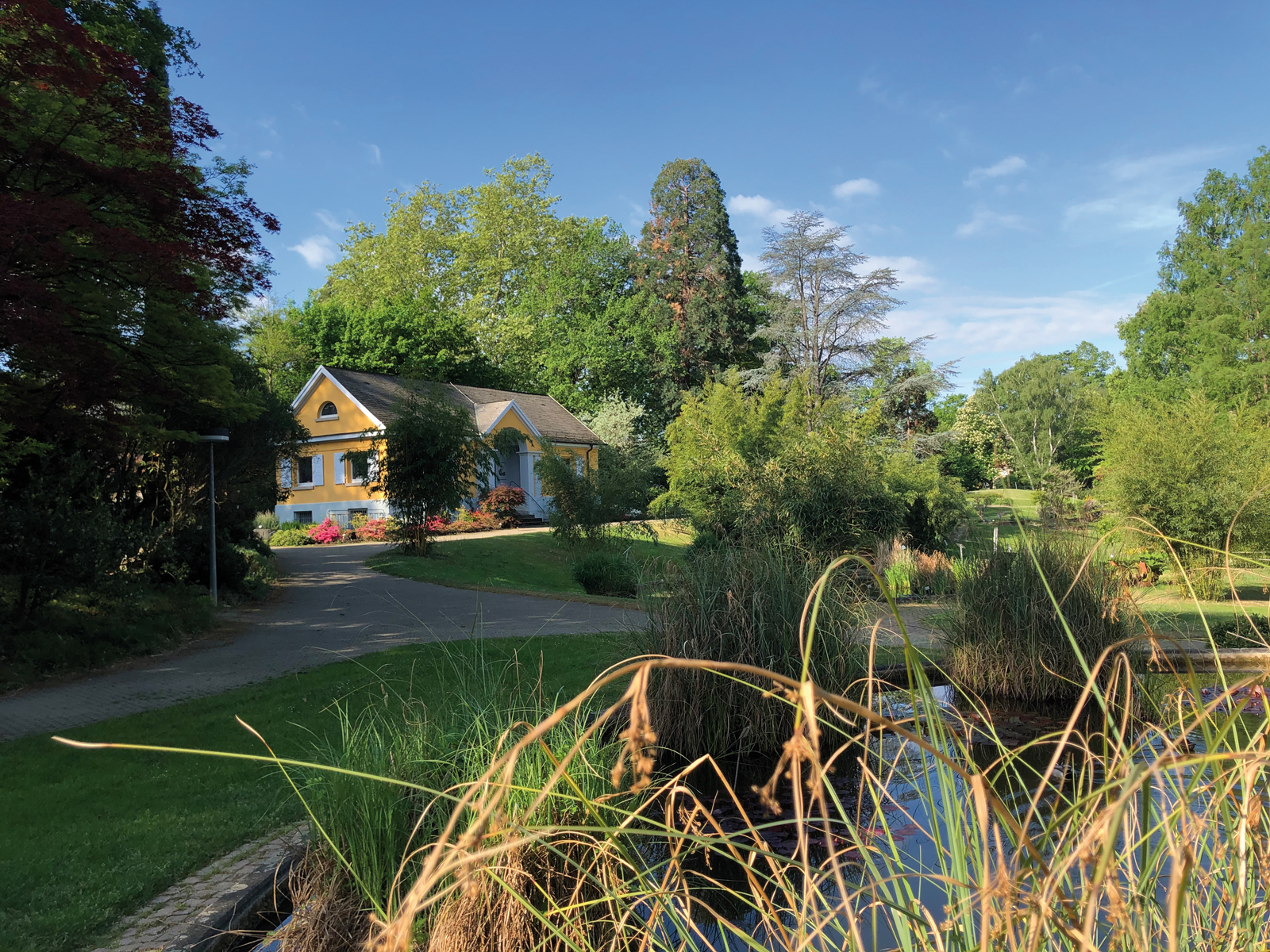 Seit 400 Jahren Ort der Wissenschaft und grüne Oase: Der Botanische Garten