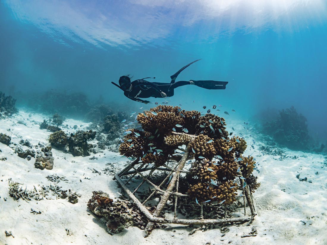 Goldene Zeiten und Unterwasserwelten: Die umgebaute Kassenhalle im Sparkassen-FinanzZentrum begrüßt eine neue Dauerausstellung