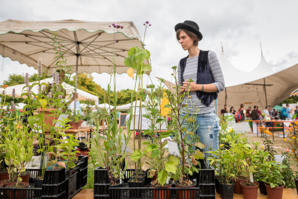 Der AgriKultur Sommer 2021 – Fünf Wochen rund um Landwirtschaft, Ernährung, Biodiversität und mehr