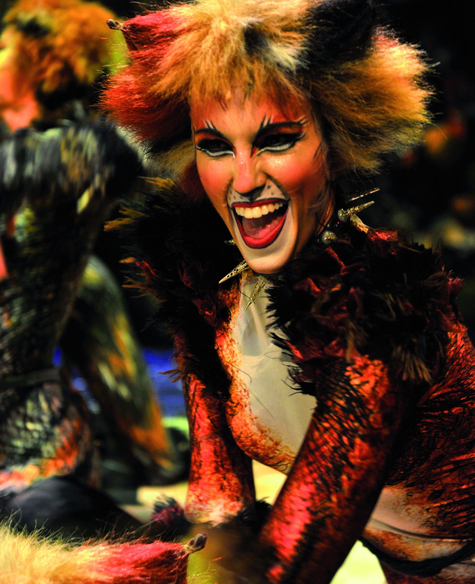 Die tanzende Katzenschar