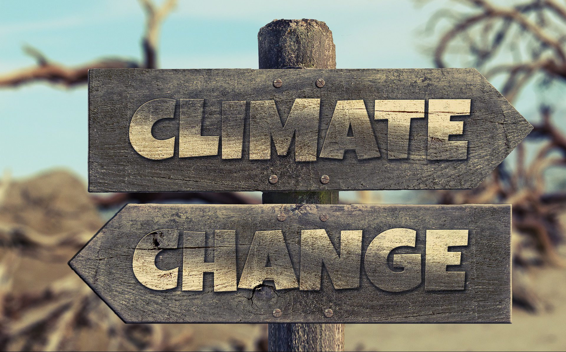 „Klima vor Acht“ oder „Climate Silence“?