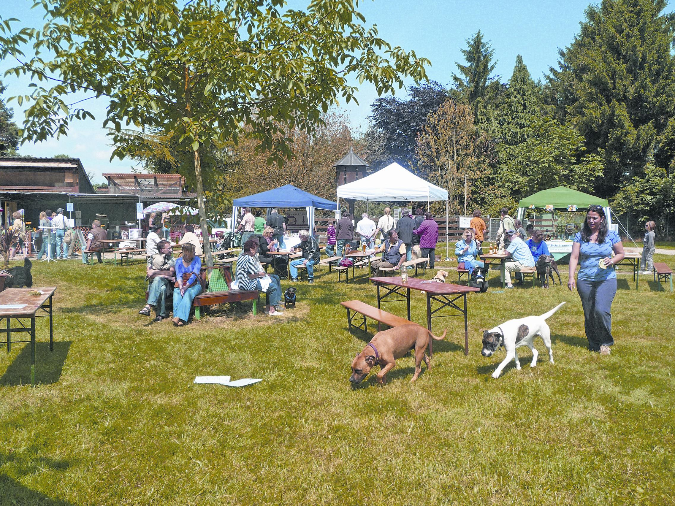 Sommerfest im Tierheim