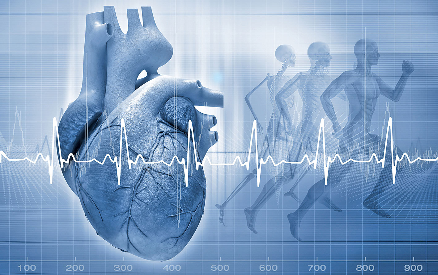 Das schwache Herz!…oder ist die Lunge schuld?