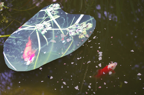 Der Kunstraum Alexander Bürkle widmet der Freiburger Künstlerin Annette Merkenthaler eine Einzelschau