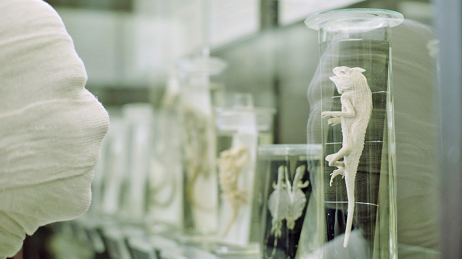 Neues Leben aus der Vergangenheit