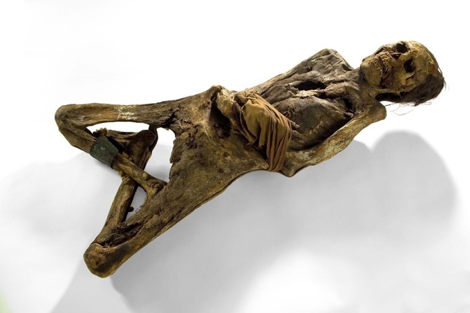 Im Zentrum der Mumienforschung