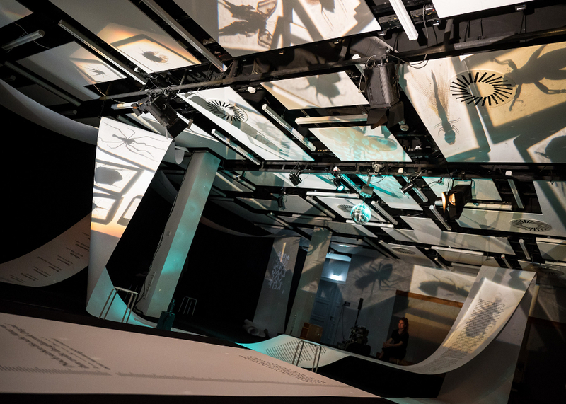 In der Black Box: Das Literaturhaus Freiburg hat sich in die Installation „Museum der Langsamkeit“ verwandelt