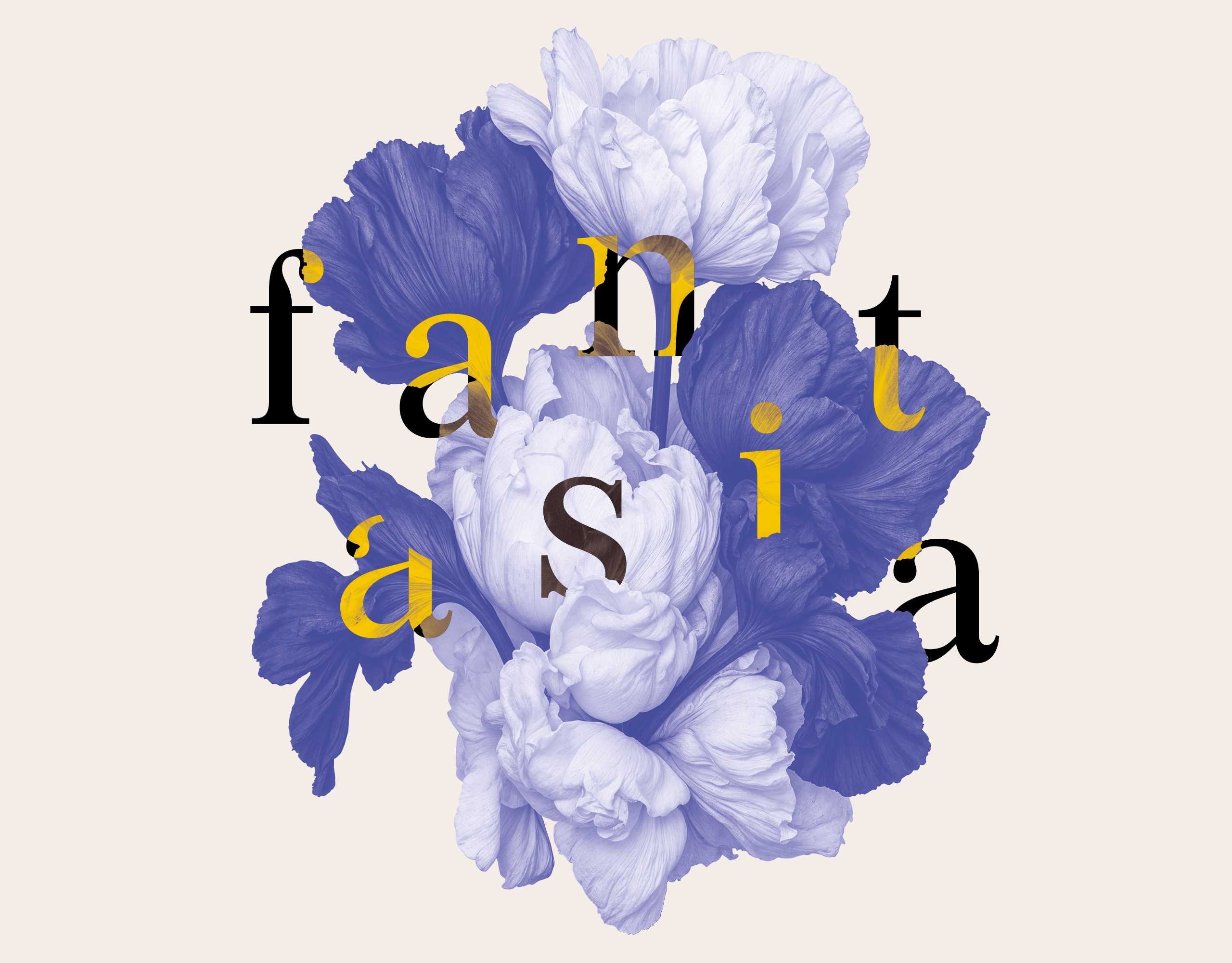 Staufener Musikwoche „Fantasia“ 8.-16.8.2026